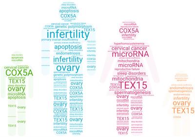 Editorial: Searching for causes of infertility: from pathophysiologic mechanisms to therapeutic strategies